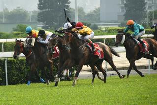 Bobo So Cute Wins Macau Gold Cup. Photo: Macau Jockey Club